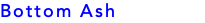 Bottom Ash